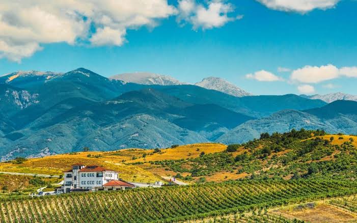Melnik Wine Route