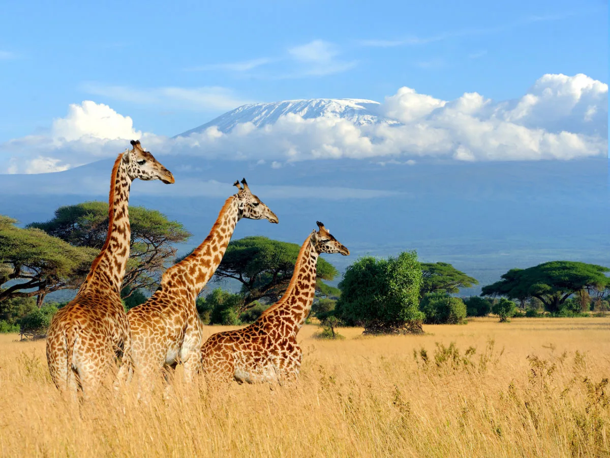 kenya-1200×900