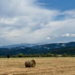 Откриване на природата в Пиринската планина